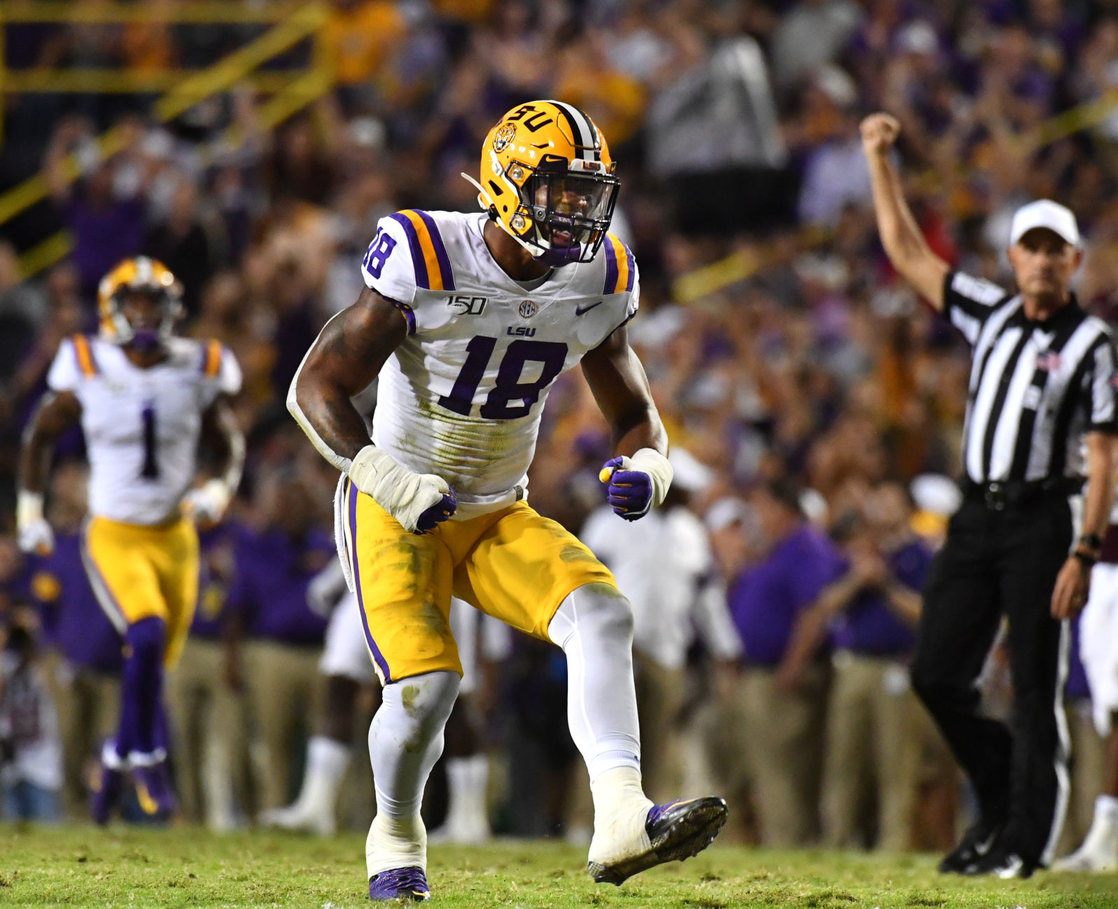 BR..lsutexasammain.120119 TS 990.jpg